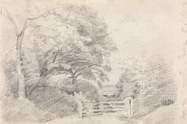 Coombe Wood